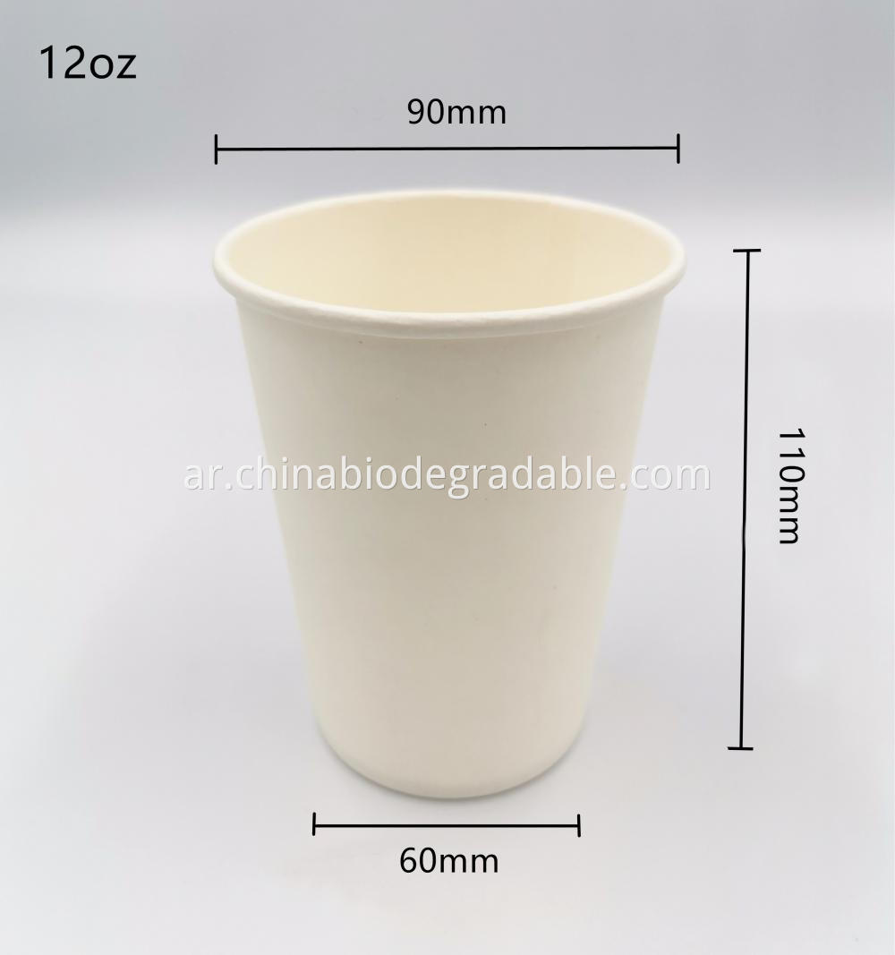 12oz PLA Biodegradable Hot Coffee Cup